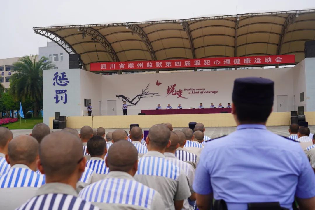 那再看看监狱里的"第二十条"又是什么_澎湃号·政务_澎湃新闻-the