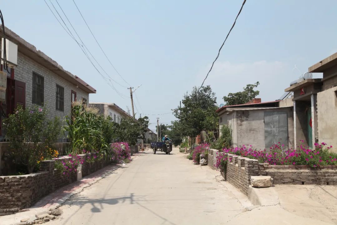 昌黎文化行朱各庄镇如画小村朱各庄