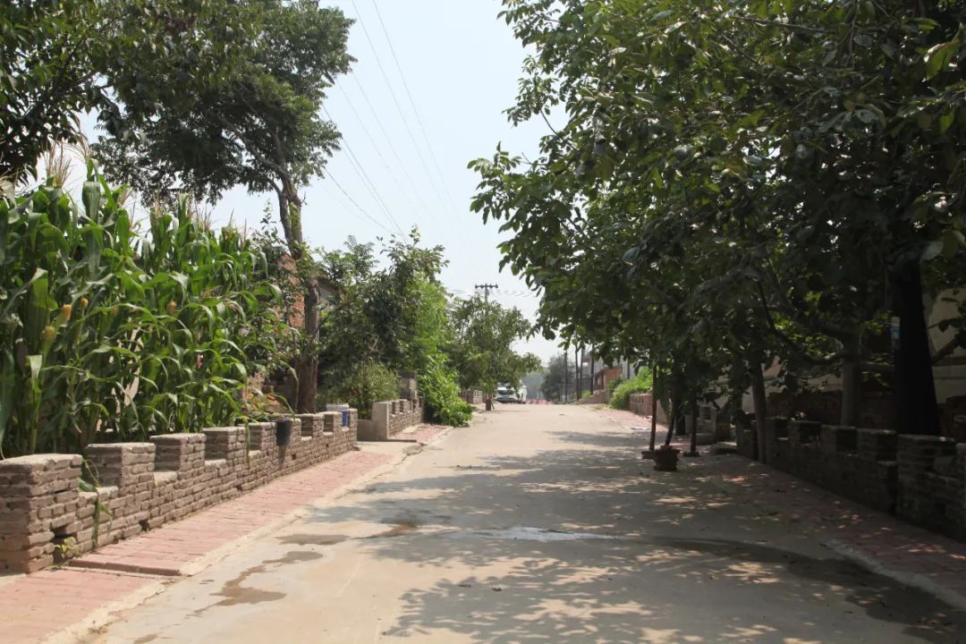 【昌黎文化行】朱各庄镇:如画小村朱各庄_澎湃号·政务_澎湃新闻-the