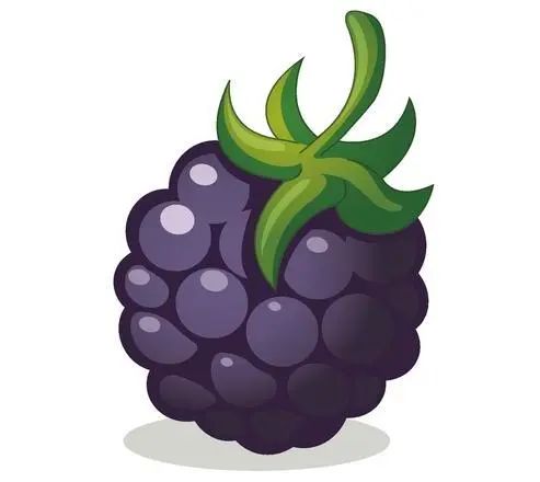 春日紫珍珠"桑葚"_澎湃号·湃客_澎湃新闻-the paper