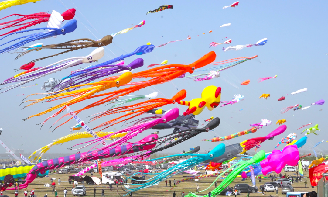 潍坊是世界风筝的发源地,早在2400多年前,鲁班就在这里制作放飞了世界