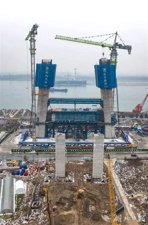 枝江长江大桥迎春拔节长高_澎湃号·政务_澎湃新闻-the paper