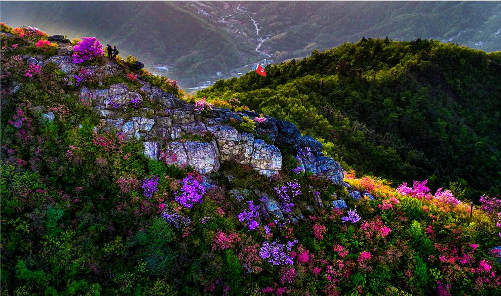 踏春赏青来英山上春山