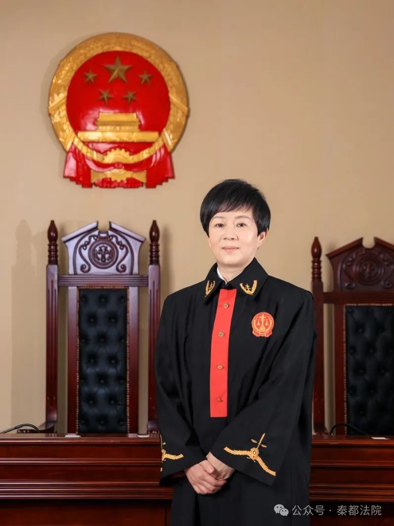 秦都法院先进在身边2023年度先进个人董娟