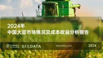 2024年中国大豆市场情况及成本收益分析简报