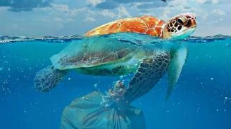 生物可降解塑料可以缓解海洋塑料污吗？| 或许比我们想象的还要糟糕
