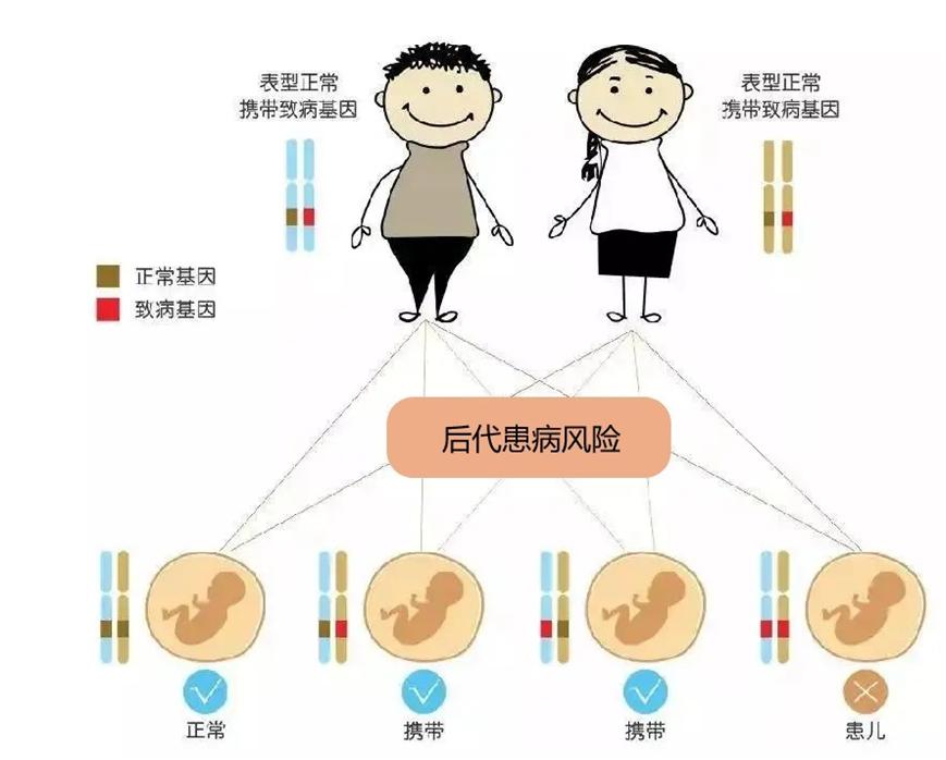 国际罕见病日:进行性假性类风湿性发育不良症_澎湃号