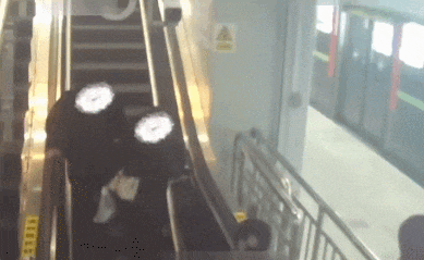 她"滑跪"到电梯口_澎湃号·政务_澎湃新闻-the paper