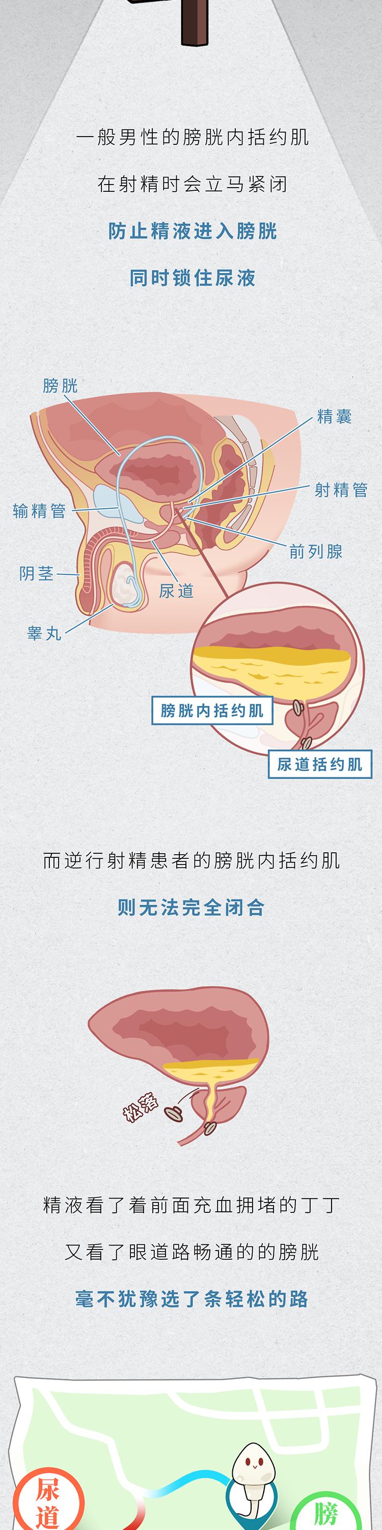 男性长期禁欲,精子质量是会变好还是变差?