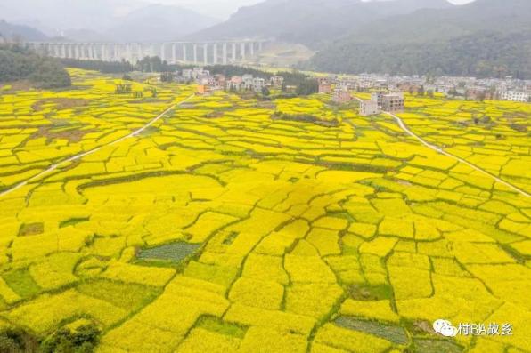 約你來見到黔東南上春山賞春花