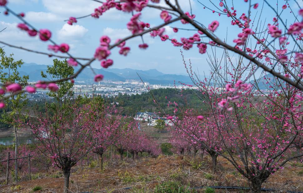 寿昌人私藏的绝美秘境!今天大公开~_澎湃号·政务_澎湃新闻-the paper