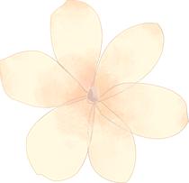 河南,甘肃"梦幻联动",共同助力陇南诗会_澎湃号·政