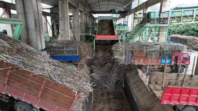 (资料图)甘蔗渣能变成什么模样?