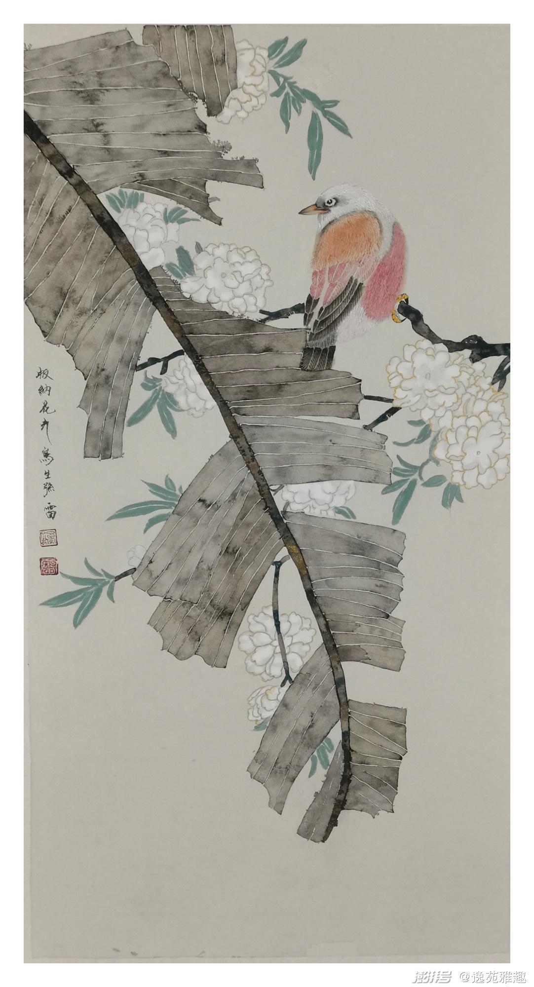 孙雷花鸟画:清新脱俗,唯美动人,展现生命之美_澎湃号·湃客_澎湃新闻