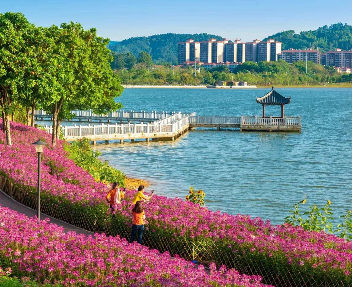 增正路,荔景大道,增江河两岸等旅游大道,连接增江画廊,莲塘春色
