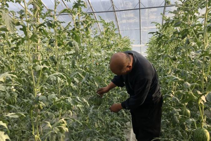 拼经济强农业促发展潍坊市寒亭区固堤街道赋能现代农业