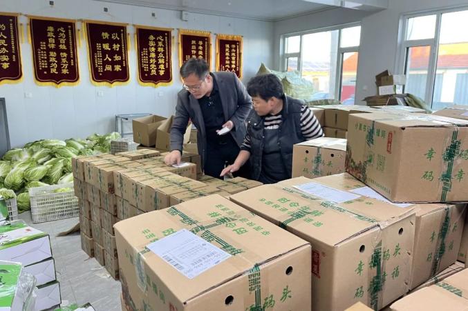 拼经济强农业促发展潍坊市寒亭区固堤街道赋能现代农业