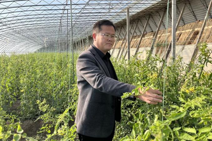 拼经济强农业促发展潍坊市寒亭区固堤街道赋能现代农业