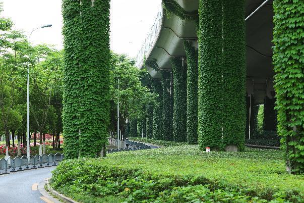 【活动】秀出你眼中的立体绿化,征集传播活动开始啦!