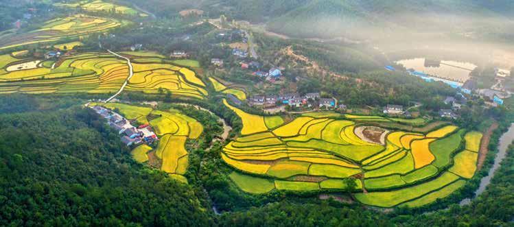 生态文明示范建设(364)| 生态文明建设示范区——湖北省荆门市钟祥市