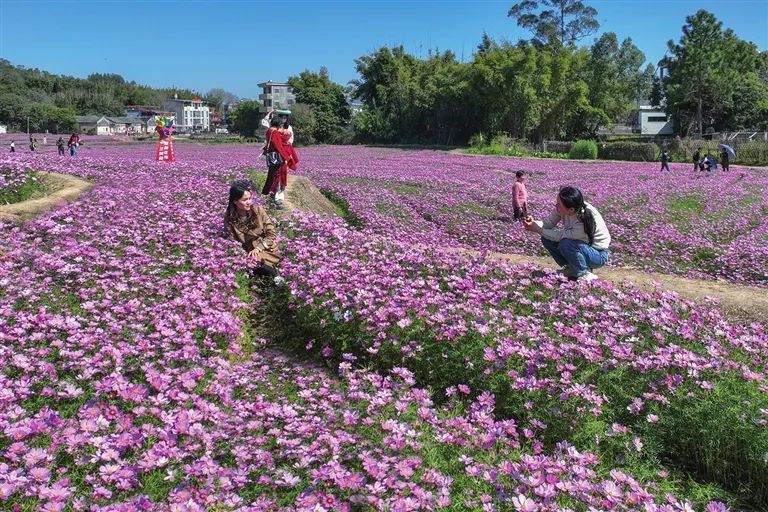 河源春天的颜色是______?_澎湃号·政务_澎湃新闻-the paper