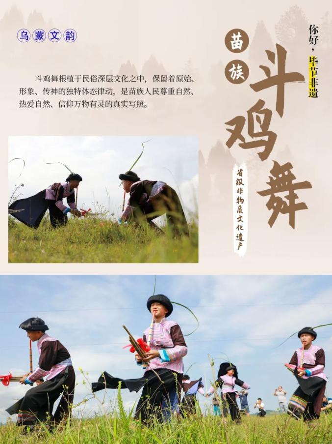 文化| 苗族斗鸡舞:一声啼散满天星_澎湃号·政务_澎湃新闻-the paper