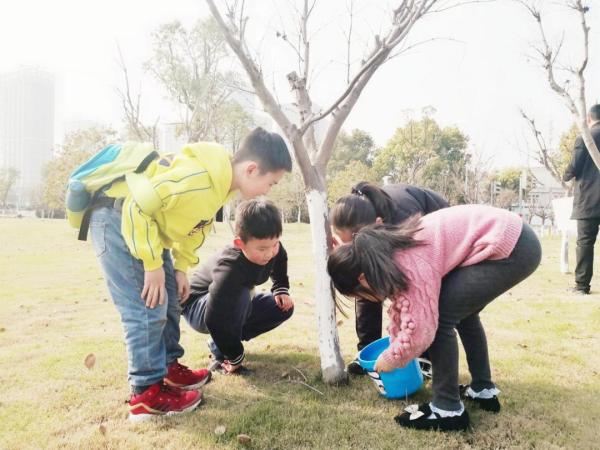 宁波100余个公园绿地等你来认领_澎湃号·政务_澎湃新闻-the paper