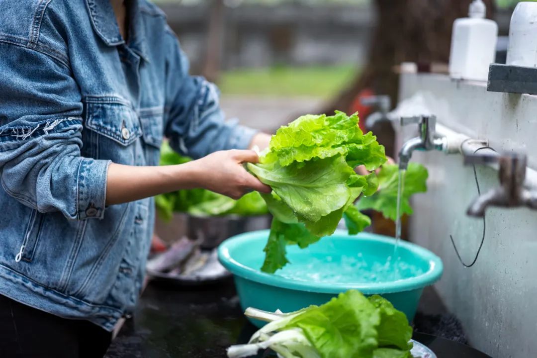 洗菜千万别这样洗