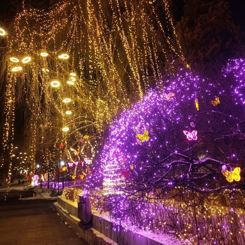 吉林北山公园夜色更加迷人,快来打卡吧_澎湃号·政务_澎湃新闻-the