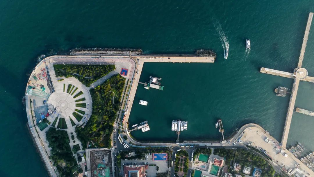 青岛这个"世界之最",多少人为了ta而来_澎湃号·政务_澎湃新闻-the