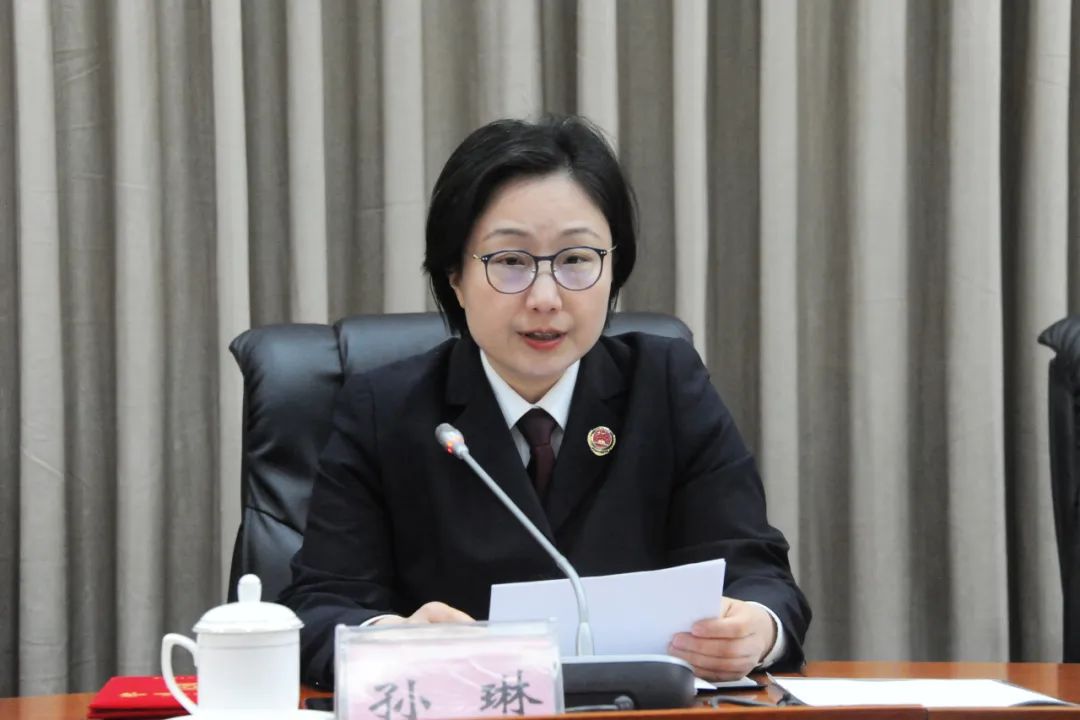 院党组副书记,副检察长孙琳总结了2023年检察工作,并对做好2024年重点