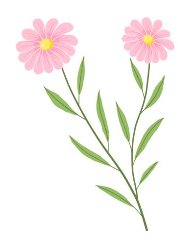 玉兰花 ,红梅 ,紫荆,海棠,丁香……万物挨个发芽,开花,上春山,赏春景