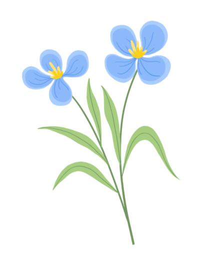 桂花一开,香气四溢,一把就将人推进秋天里的浪漫.