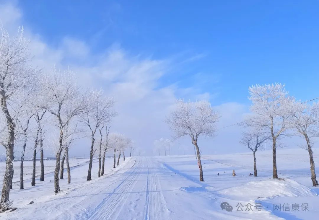 【康保美景你来拍】雾凇晶莹剔透如童话世界