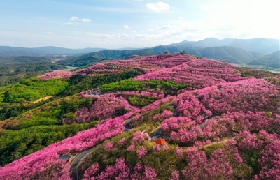 福建省三明市清流县:立足地域资源优势 激活乡村发展潜能_澎湃号