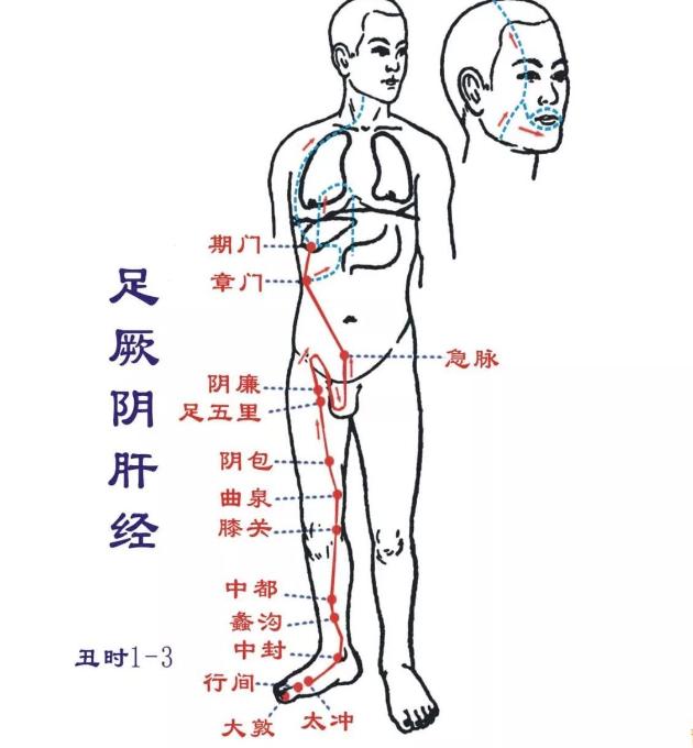 情绪不舒畅，肝经就会产生阻滞。肝胆经互为表里，肝经不畅就会向胆经施