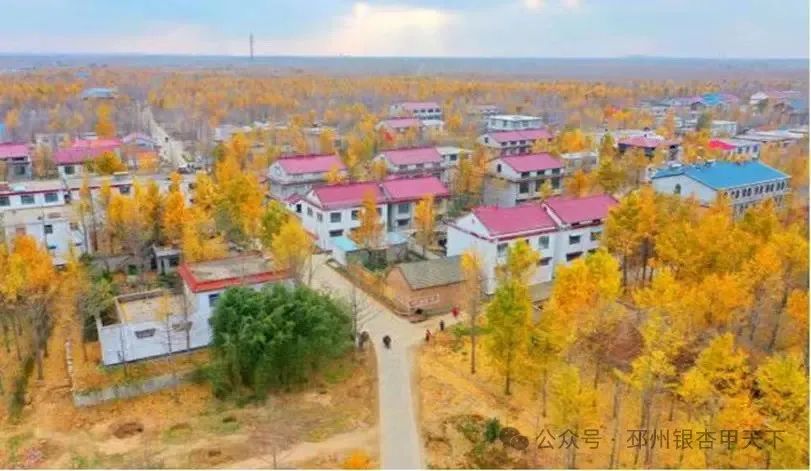 官湖镇石坝村经验做