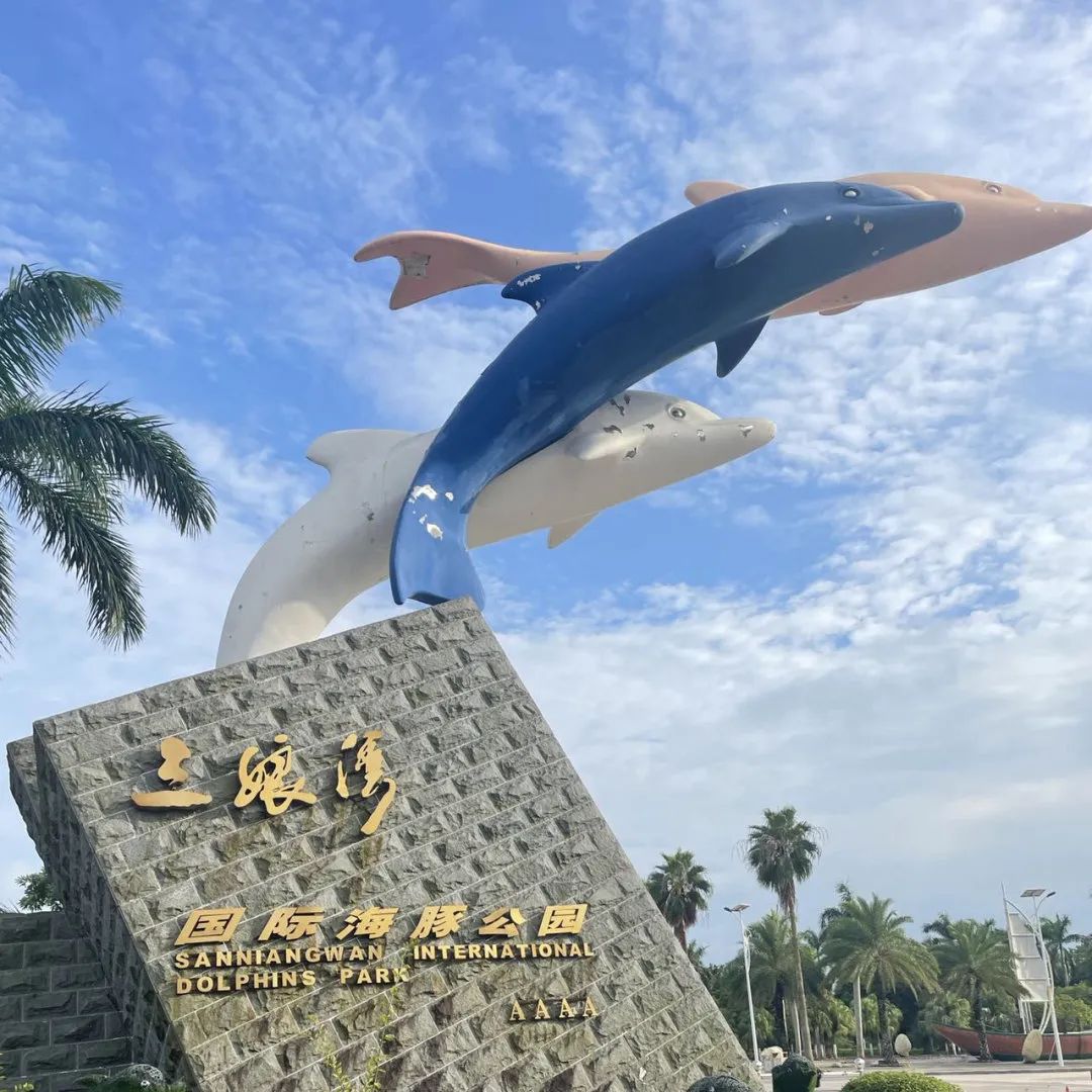相"惠"三娘湾 出海寻粉豚