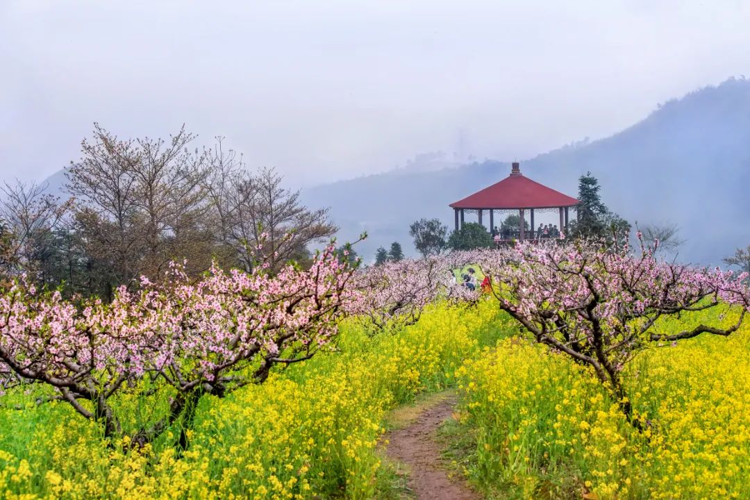 桃花情 缘梦在和平报名联系:童老师,15857281880主要内容:自我介绍