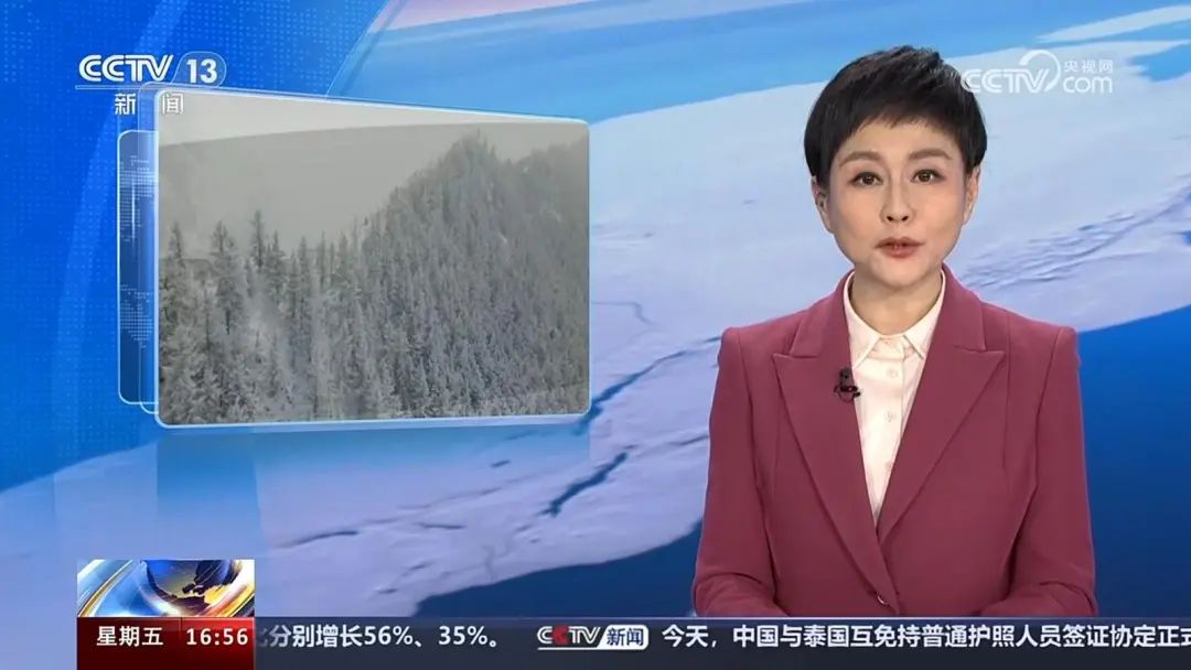 中央一台在线直播观看回放(中央一台在线直播观看回放节目)
