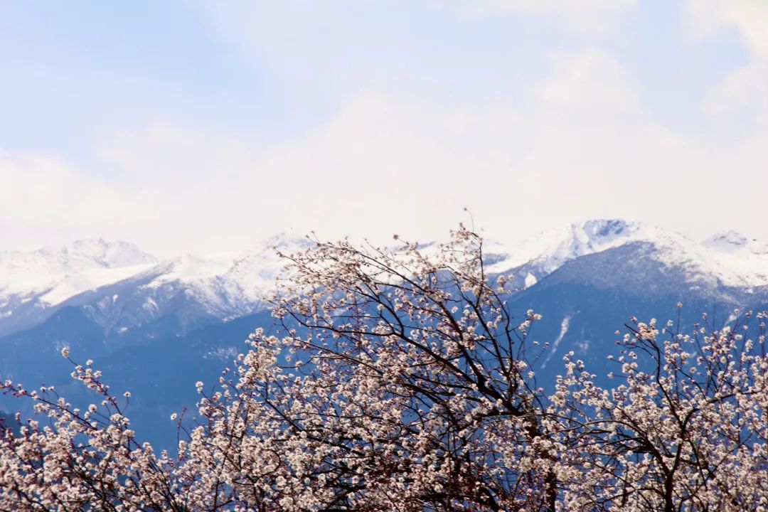 连江法院 张质蕴《彩云飘拂》闽侯法院 黄巧夷,栾晓慧《山海暮晨》