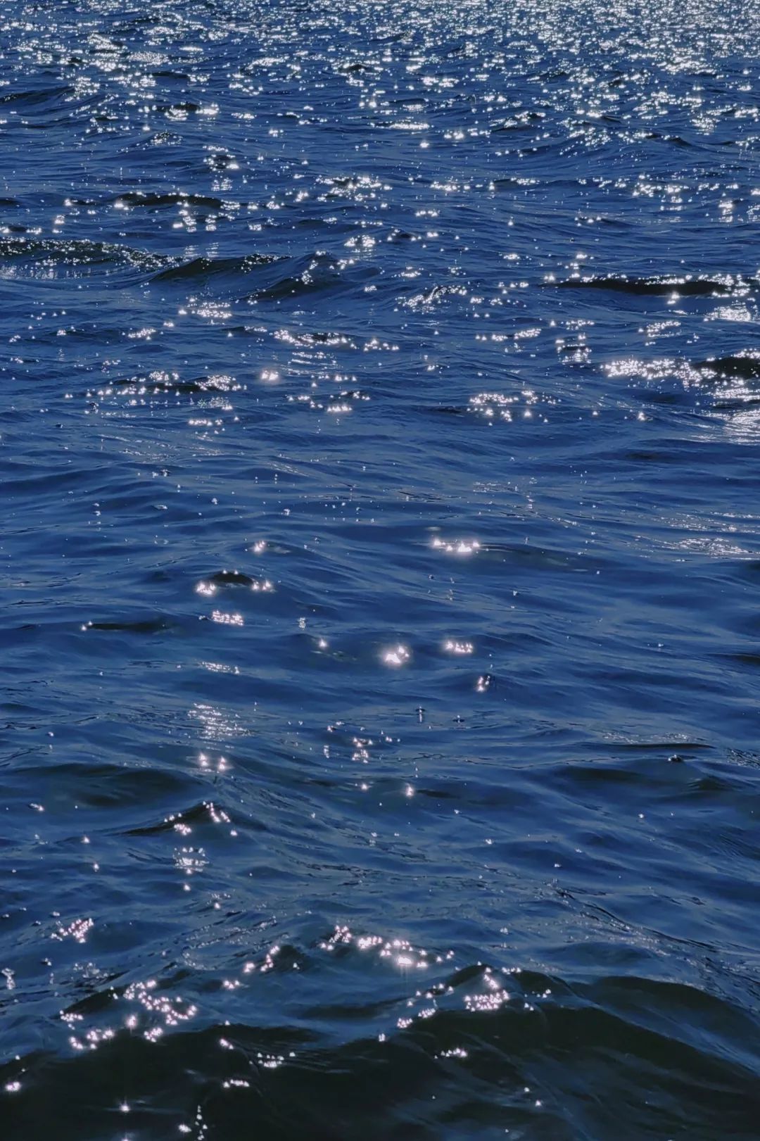 云舒风涌 春色无边 | 法影斑斓_澎湃号·政务_澎湃新闻-the paper