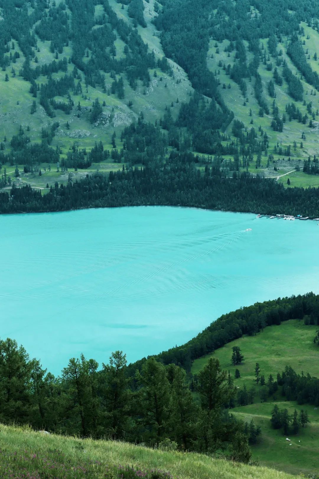 云舒风涌 春色无边 | 法影斑斓_澎湃号·政务_澎湃新闻-the paper