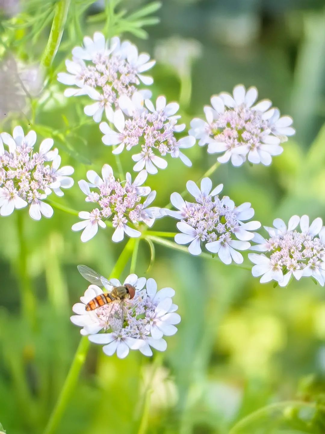 云舒风涌 春色无边 | 法影斑斓_澎湃号·政务_澎湃新闻-the paper