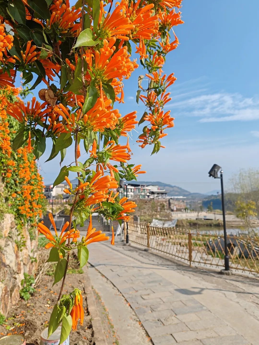 云舒风涌 春色无边 | 法影斑斓_澎湃号·政务_澎湃新闻-the paper