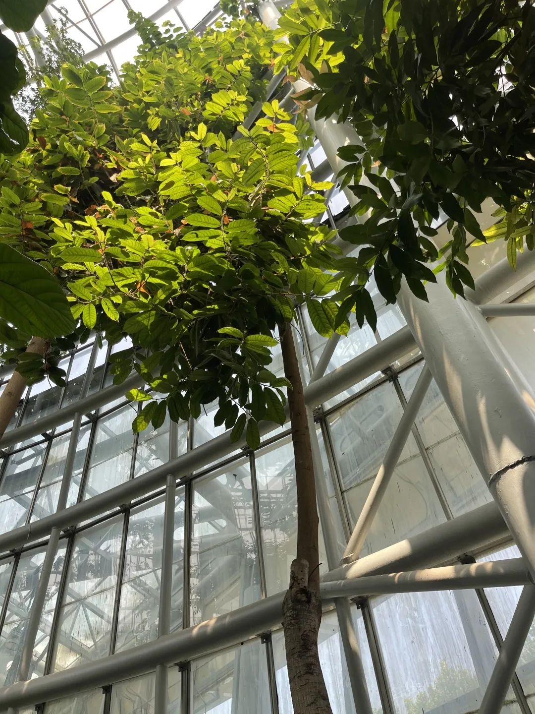 园,竹园,百合园,棕榈凤兰园,盆景园,岩石园……,不写了,写完就成贯口