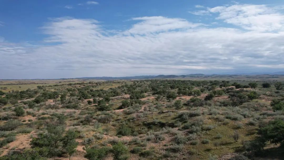 增绿添绿我们时刻准备着八步沙人春季治沙造林工作已准备就绪