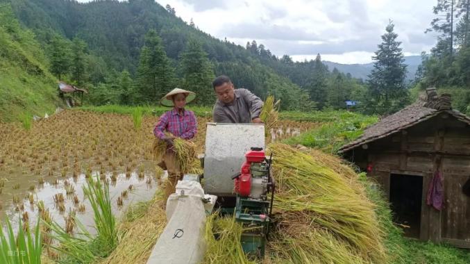 融水杆洞乡小河村驻村第一书记梁浩然甘当赤脚书记贡献点滴力量