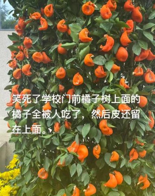 今日全宇宙最涨姿势的十张图_澎湃号·湃客_澎湃新闻-the paper