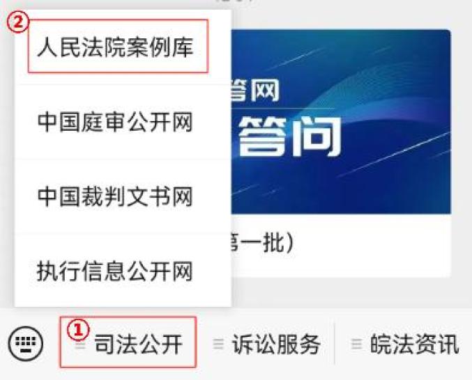 人民法院案例库怎么用?_澎湃号·政务_澎湃新闻-The Paper